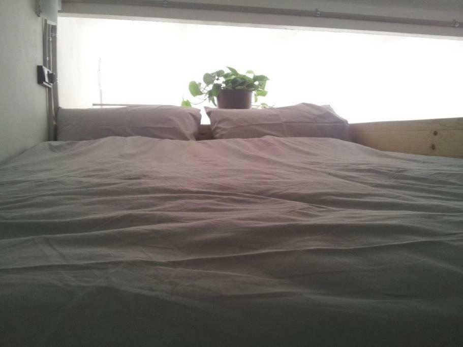 Lovely Double Apartment - Sagrada Familia 바르셀로나 외부 사진